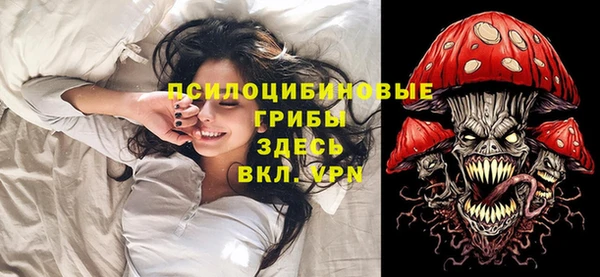 шишки Абинск