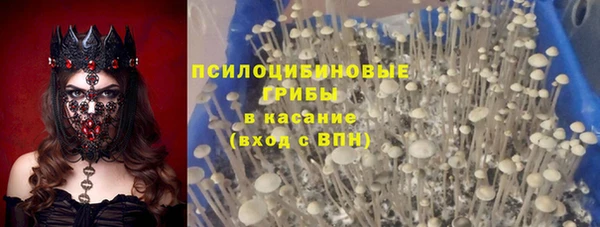 шишки Абинск