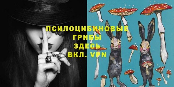 скорость Алзамай