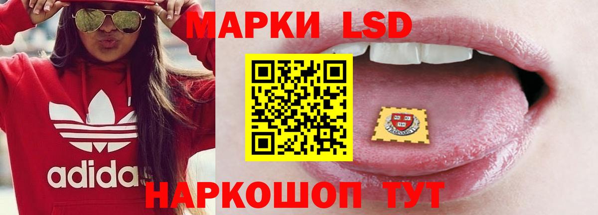 ЛСД экстази кислота  Вход с VPN  Сунжа  Лсд 25 экстази  ЛСД экстази кислота 