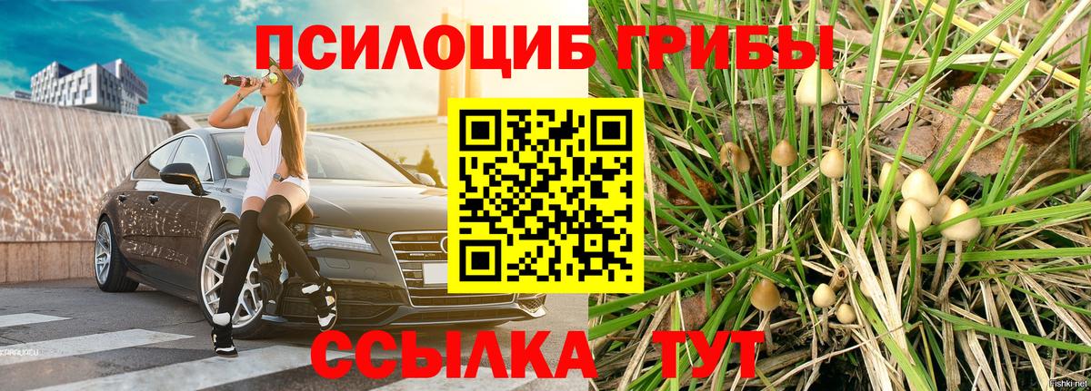 Бошки Шишки Сунжа
