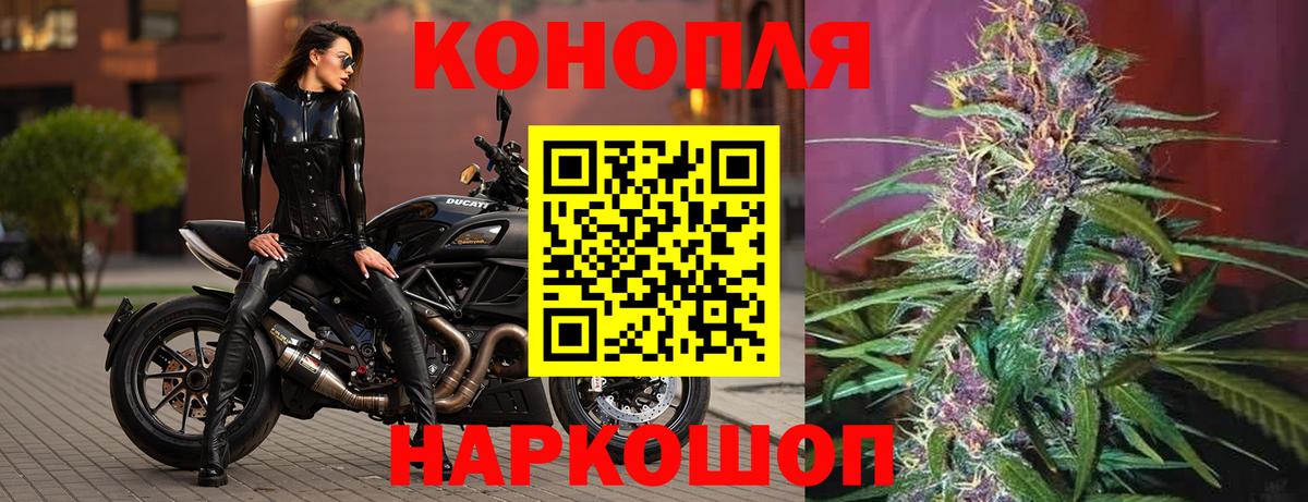 Бошки марихуана план  Бошки Шишки OG Kush  Марихуана ГИДРОПОН  Сунжа  Вход с VPN 